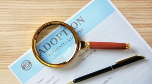 How Family Lawyers Support Stepparent Adoptions How Family Lawyers Support Stepparent Adoptions